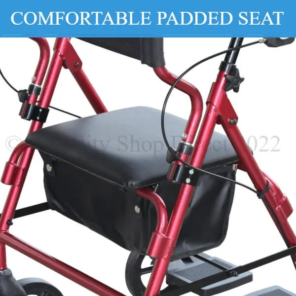 2-in-1 Walker Transport Chair Combination