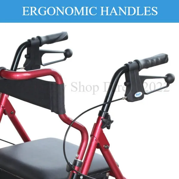 2-in-1 Walker Transport Chair Combination