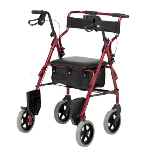 2-in-1 Walker Transport Chair Combination