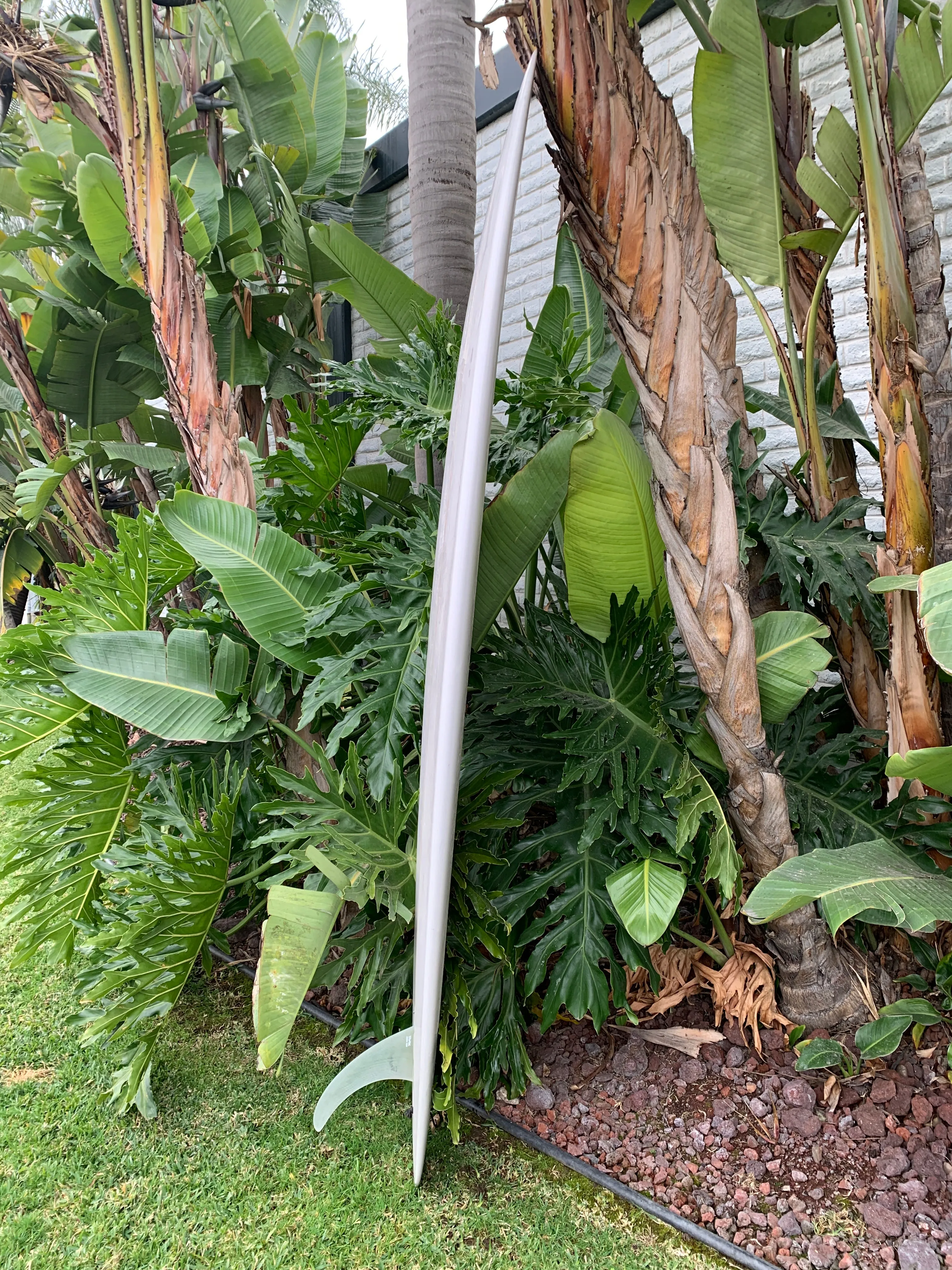 8'9" Schroeder Italian Cypress (Used)