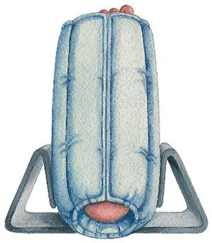 Heel Boot Accessories Bilateral Anti-Rotation Gripper for Hip Fracture or Rigid Stabilizers by Skilcare