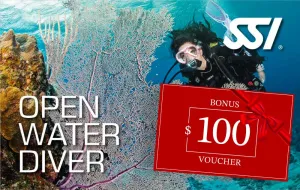 Learn To Dive Gift Card SSI Open Water Course   Bonus $100 Gift Card