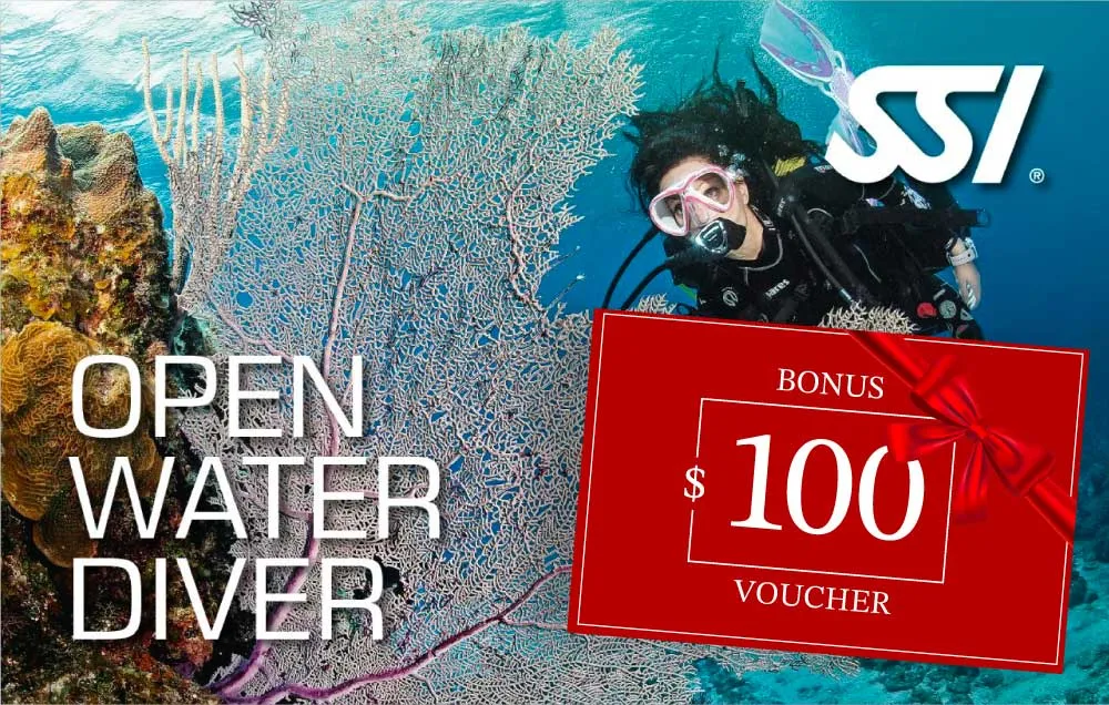 Learn To Dive Gift Card SSI Open Water Course   Bonus $100 Gift Card