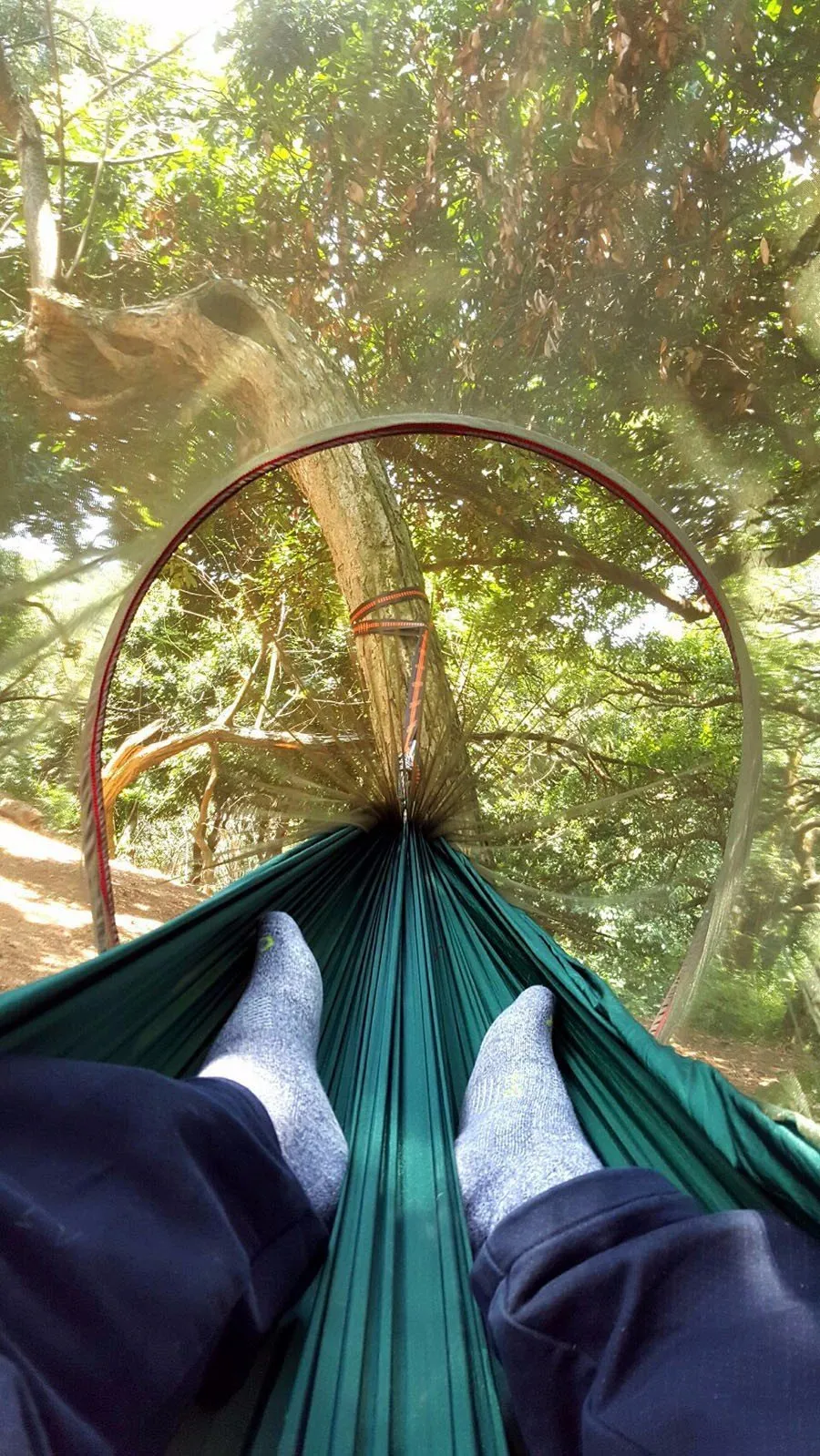 Mosquito Net Hammock