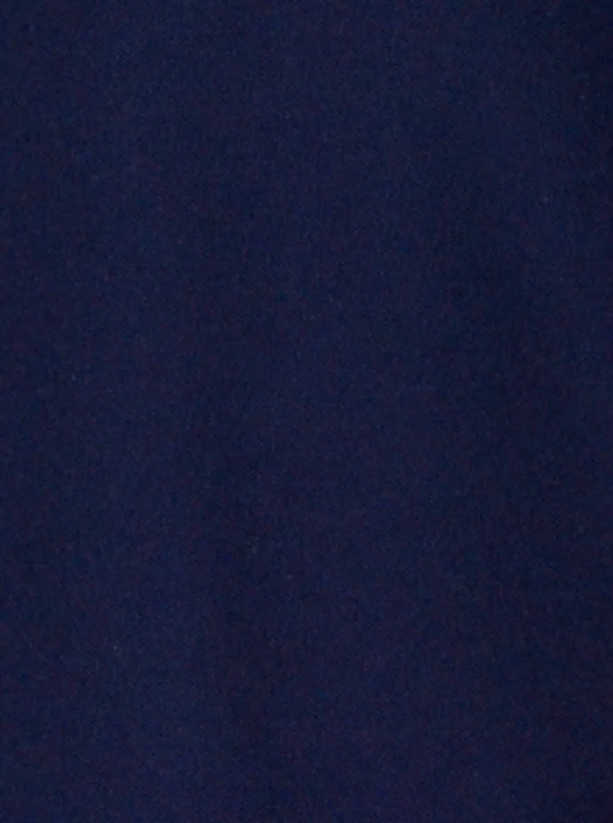 Navy Blue Solid Slim Fit Polo T-shirt | Greenfibre