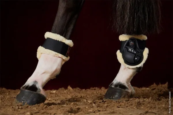Schockemohle Air Flow Champion Fetlock Fur Boots Black
