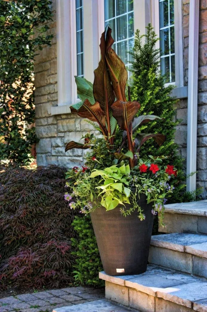 Veradek Kobo Planter